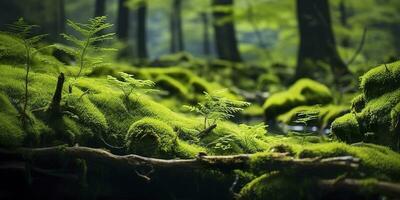 AI generated Green moss closeup, with a backdrop of woodland.  Forest in the national park. AI Generated photo