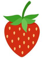 Vector illustration of strawberry in flat design isolated on white background.