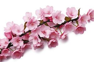 AI generated Sakura flowers isolated on white background. AI Generated photo