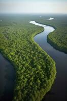 ai generado aéreo ver de el amazonas selva paisaje con río doblar. generativo ai foto