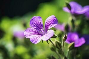 AI generated Geranium wilfordii flower. AI Generated photo