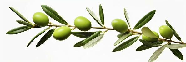 ai generado aceituna árbol rama, verde aceitunas y hojas en blanco antecedentes. ai generado. foto