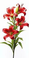 AI generated Red Lilies isolated on white background. AI Generated photo