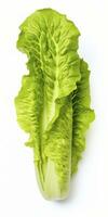 AI generated Lettuce isolated on white background. AI Generated photo