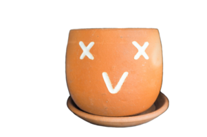 fleur pot avec visages montrant sentiments png