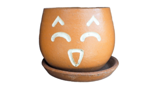 fleur pot avec visages montrant sentiments png