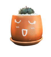 fleur pot avec visages montrant sentiments png