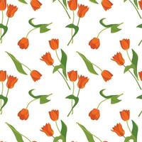 Seamless pattern with tulips. Vector spring flowers on a white background. Illustration for printing on fabric, wallpaper, wrapping paper. Flat style.