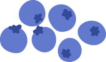 Blueberries fruit  illustration png