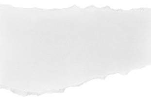 papel rasgado blanco png