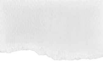 papel rasgado branco png