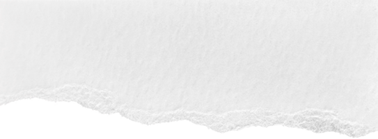 papel rasgado branco png