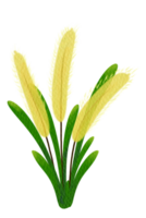 acquerello pittura giallo erba fiori png