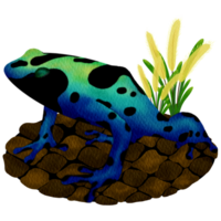 Blue Poison Dart Frog png