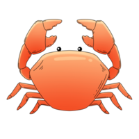 krab zee dier schattig tekenfilm png