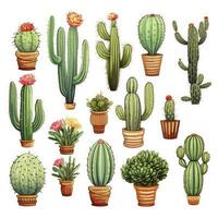 ai generado el cactus conjunto en blanco antecedentes. clipart ilustraciones. ai generado foto