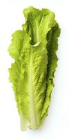 AI generated Lettuce isolated on white background. AI Generated photo