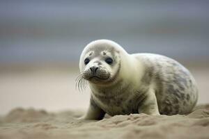 AI generated Harbor seal cub. AI Generated photo