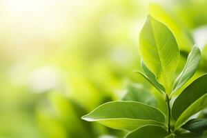 ai generado naturaleza de verde hoja en un jardín en verano debajo luz de sol. primavera antecedentes. ai generado foto