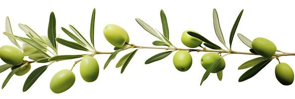 AI generated Olive tree branch, green olives and leaves on white background. AI Generated. photo