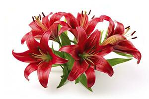 AI generated Red Lilies isolated on white background. AI Generated photo