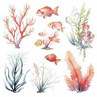 AI generated Underwater Sea element in watercolor on the white background. AI Generated photo