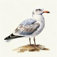 AI generated Watercolor seagull isolated on white background. AI Generated photo