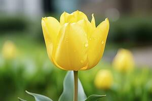 AI generated Yellow tulip in the garden. AI Generated photo