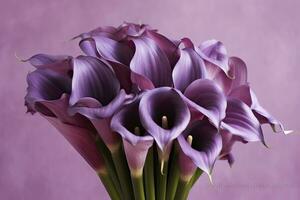 AI generated Bouquet of purple calla lilies against purple background.AI Generated photo