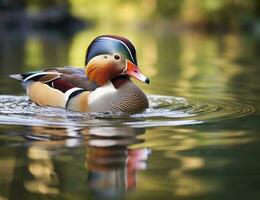 ai generado de cerca de mandarín Pato nadando en lago. generativo ai. foto