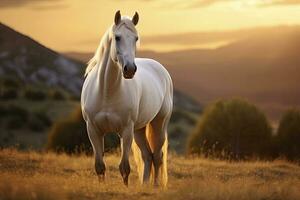 ai generado blanco caballo o yegua en el montañas a puesta de sol. ai generado foto