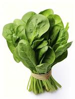 AI generated Bunch of spinach isolated on white background. AI Generated photo