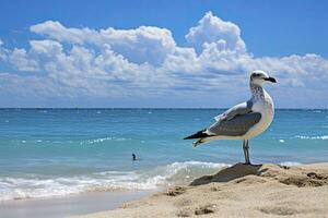 ai generado Gaviota en el playa debajo azul cielo. foto