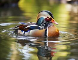 ai generado de cerca de mandarín Pato nadando en lago. generativo ai. foto