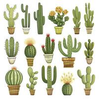 ai generado el cactus conjunto en blanco antecedentes. clipart ilustraciones. ai generado foto