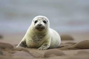 ai generado puerto sello cachorro. ai generado foto