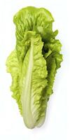 AI generated Lettuce isolated on white background. AI Generated photo