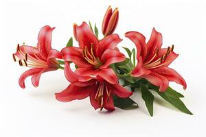 AI generated Red Lilies isolated on white background. AI Generated photo