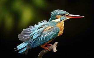 AI generated The common kingfisher wetlands bird colored feathers from different birds. Generative AI photo