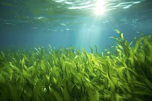 AI generated Underwater view of a group of seabed with green seagrass. AI Generated photo