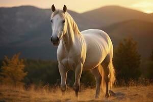 ai generado blanco caballo o yegua en el montañas a puesta de sol. ai generado foto