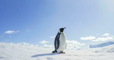 AI generated Penguin standing in Antarctica looking into the blue sky. AI Generated photo