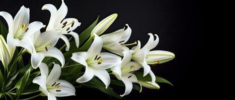 AI generated White lily flowers on black background. AI Generated photo