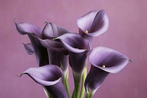 AI generated Bouquet of purple calla lilies against purple background.AI Generated photo