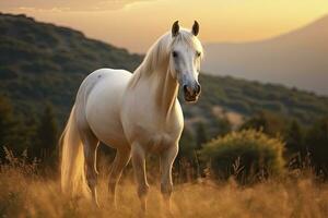 ai generado blanco caballo o yegua en el montañas a puesta de sol. ai generado foto