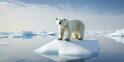 AI generated Polar bear on ice floe. Melting iceberg and global warming. AI Generated photo