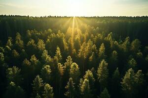 AI generated Aerial top view rural road in the forest, dirt road or mud road and rain forest, Aerial view road in nature, Ecosystem and healthy environment photo