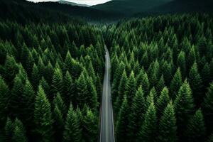 AI generated Aerial top view rural road in the forest, dirt road or mud road and rain forest, Aerial view road in nature, Ecosystem and healthy environment photo