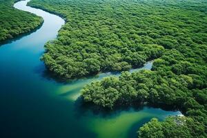 AI generated drone aerial birds eye view of a large green grass forest with tall trees and a big blue bendy river flowing through the forest photo