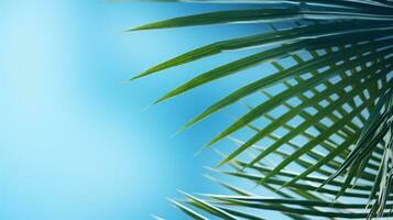 AI generated top view of palm leaves on blue background copy space, Tropical palm leaves from above - flat lay photo